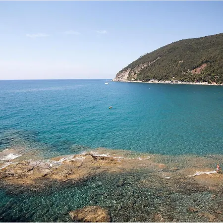 Amazing In With Wifi